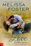 Blog Tour Review: Destined For Love