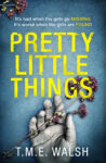Book News: Pretty Little Things Cover Reveal